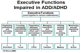 The Role of ADHD and Your Brain's Executive Functions | ADHD Coaching: Edge  Foundation